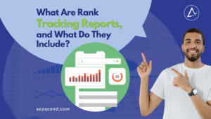 What Are Rank Tracking Reports and What Do They Include